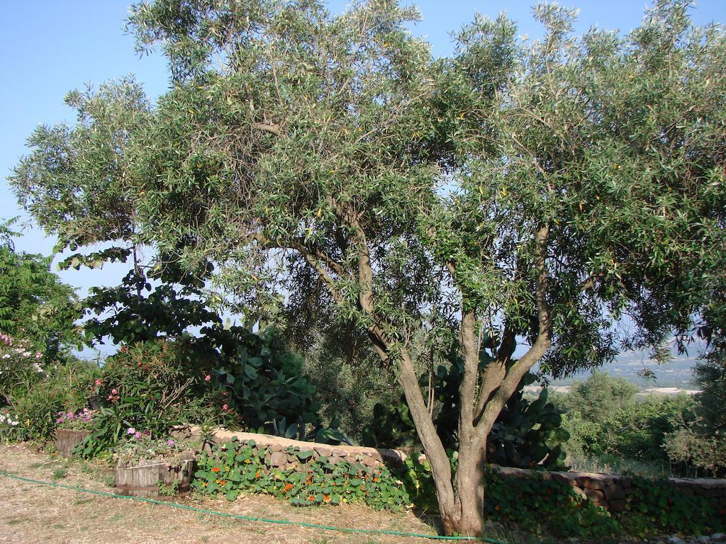 Agriturismo Su Tiresi Кала-Гононе Екстер'єр фото